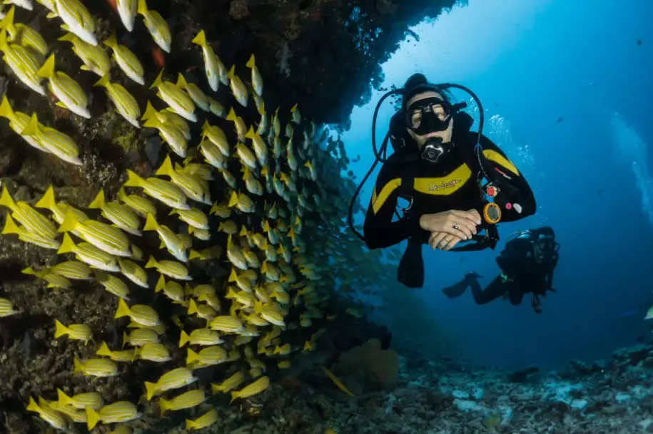 top marine life diving Europe