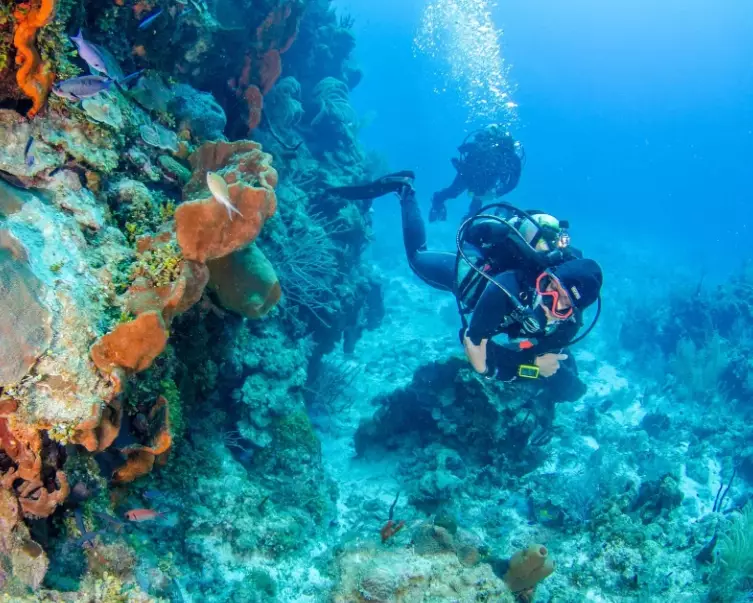 scuba diving Georgia scuba diving Georgia