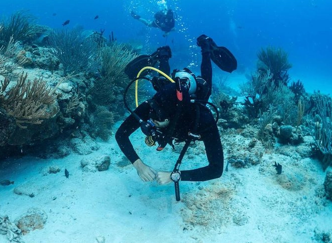 Georgia diving Georgia diving