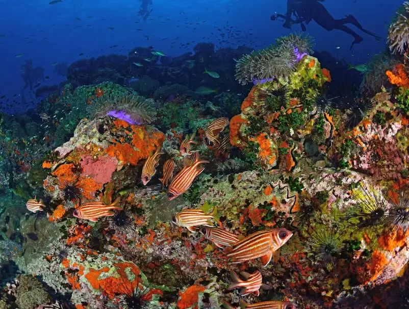 learn to scuba dive destinations