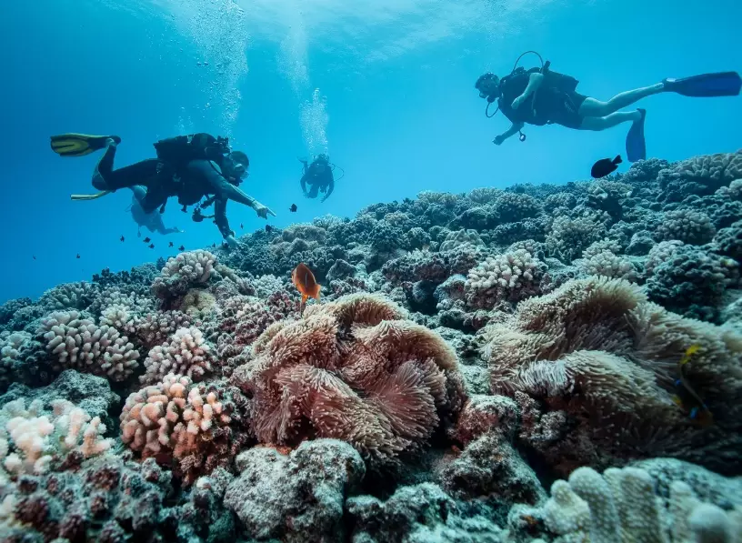 best diving countries best diving countries