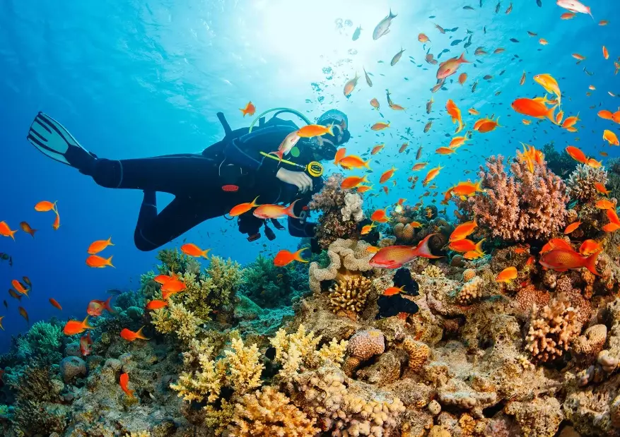 top scuba diving destinations top scuba diving destinations