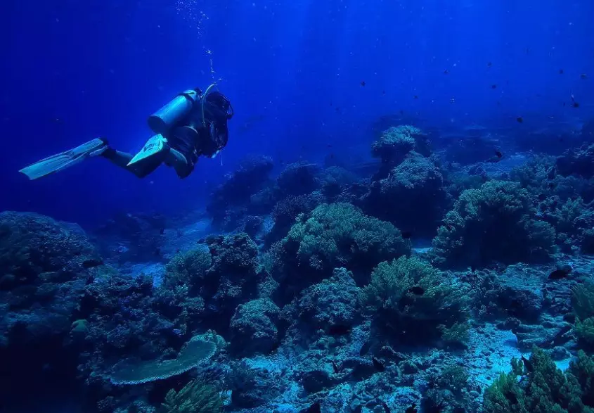 best place to learn scuba diving