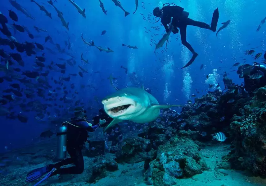 PADI open water course