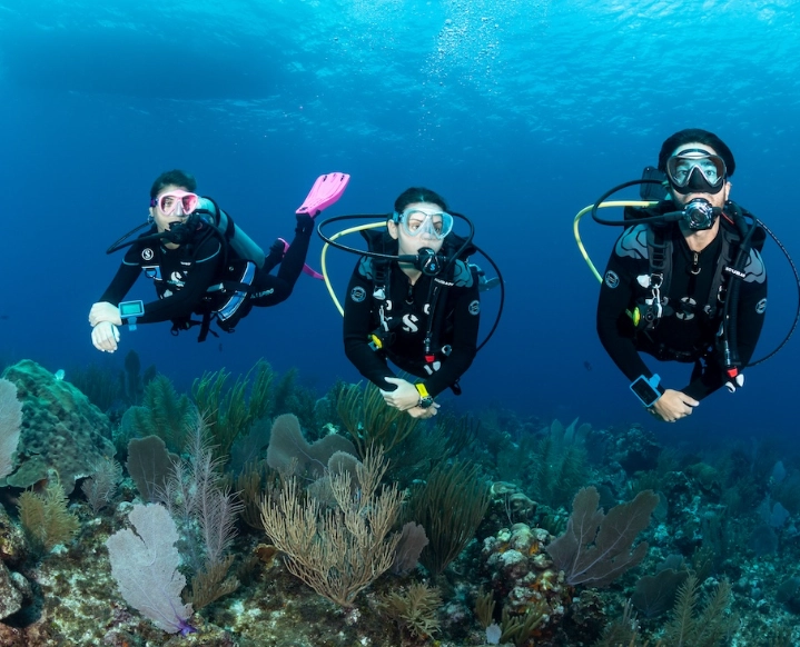 best place to learn scuba diving