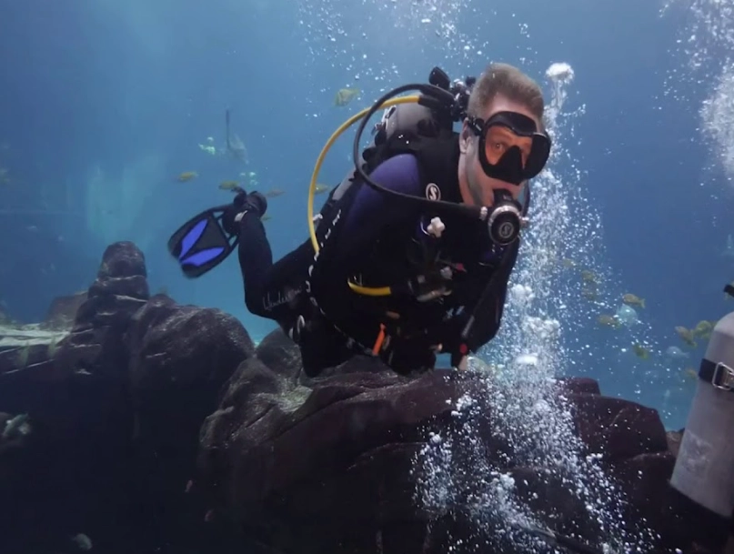 Atlanta aquarium dive experience Atlanta aquarium dive experience