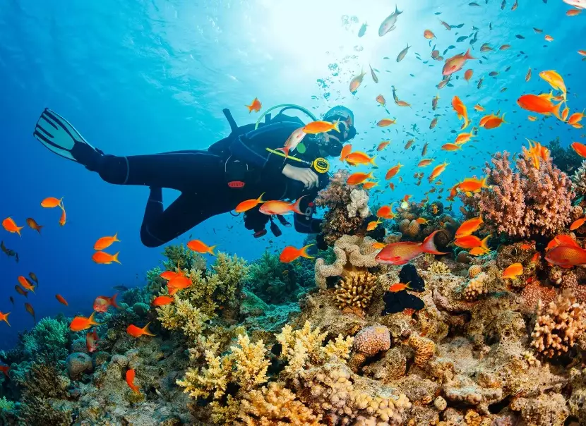 beginner diving spots