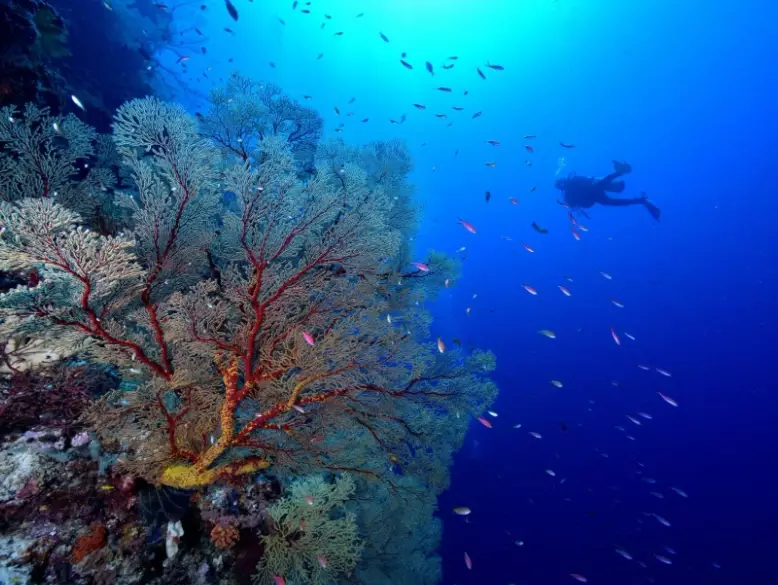 dry season diving Philippines