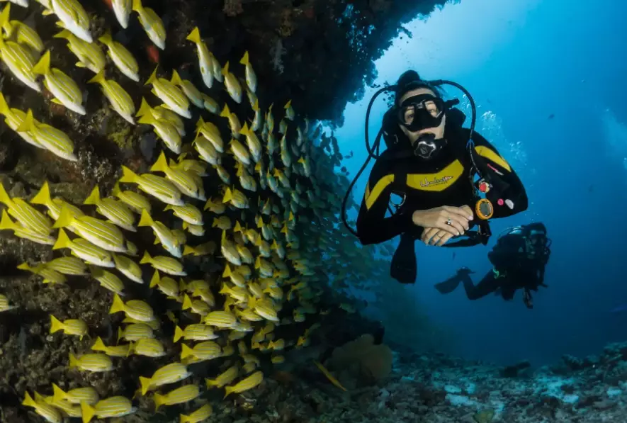 Mediterranean scuba diving spots Mediterranean scuba diving spots