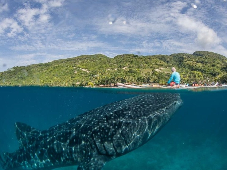 dry season diving Philippines