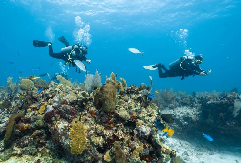 top dive sites top dive sites