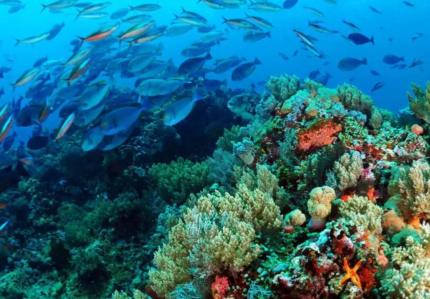 best Mediterranean dive sites best Mediterranean dive sites