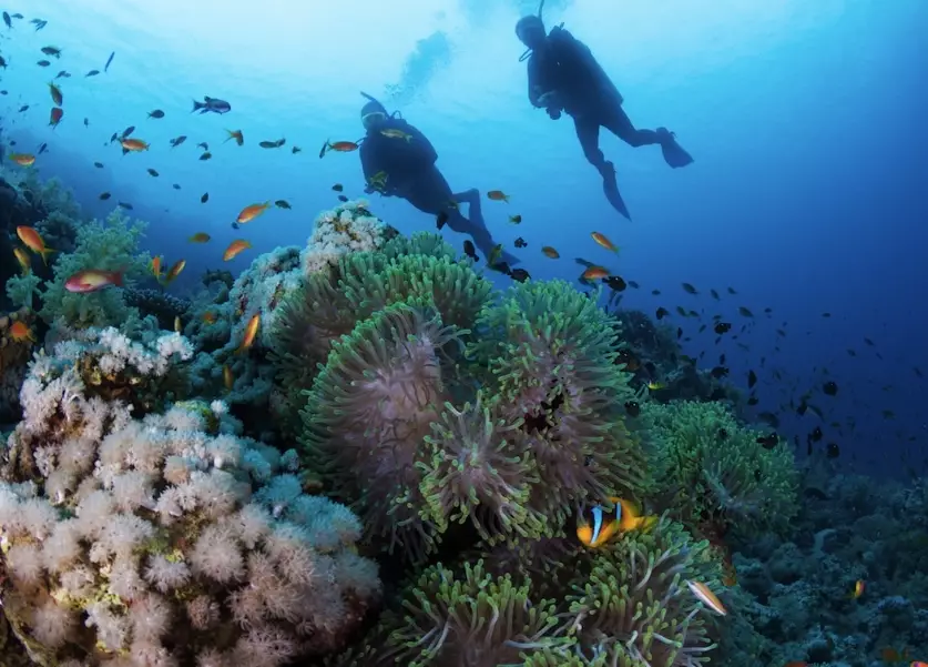 scuba diving Mediterranean sea scuba diving Mediterranean sea