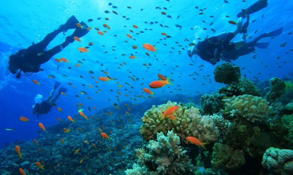 scuba diving destinations scuba diving destinations