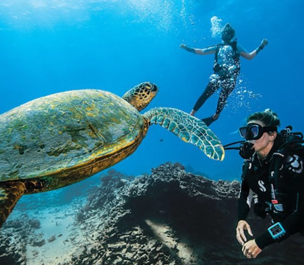 best dive sites for new divers best dive sites for new divers