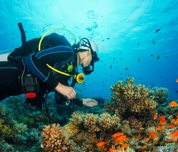 best time to dive Philippines