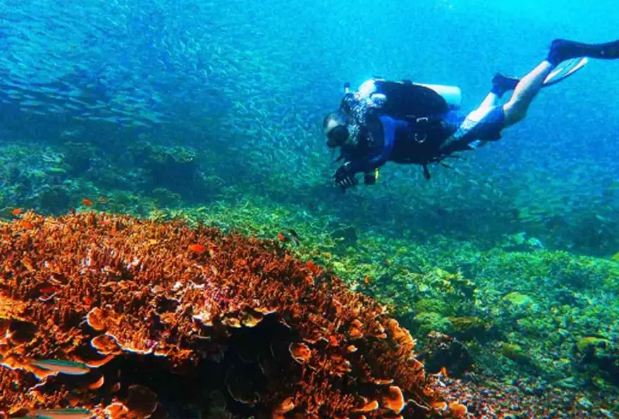 Raja Ampat diving