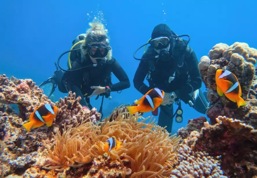 affordable shore diving