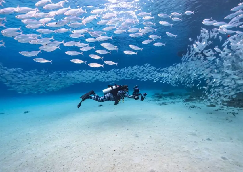 best shore diving locations