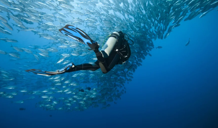 Philippines diving for beginners Philippines diving for beginners