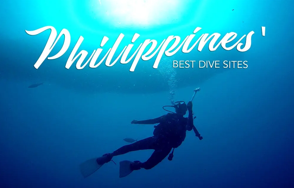 beginner friendly dive spots Philippines