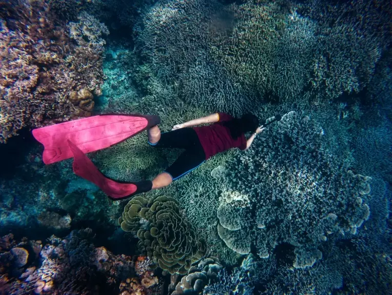 best dive sites Philippines