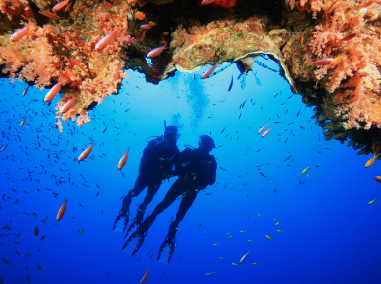 Egypt dive sites