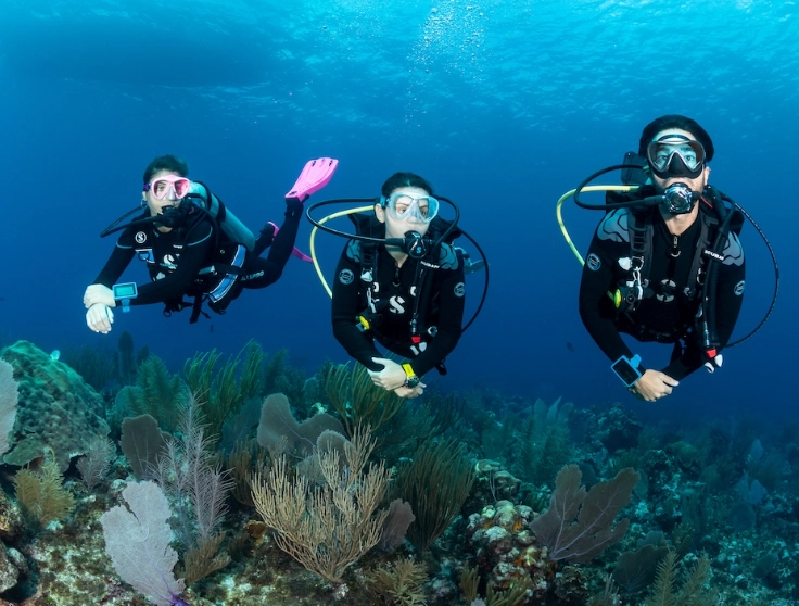 best diving countries