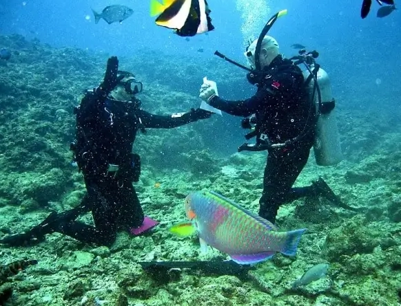 scuba diving Philippines weather