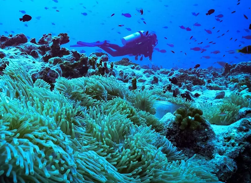 best scuba diving destinations