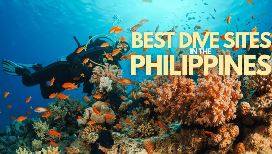 Best Dive Sites in the Philippines for Beginners: Top 5 Safe & Easy Spots