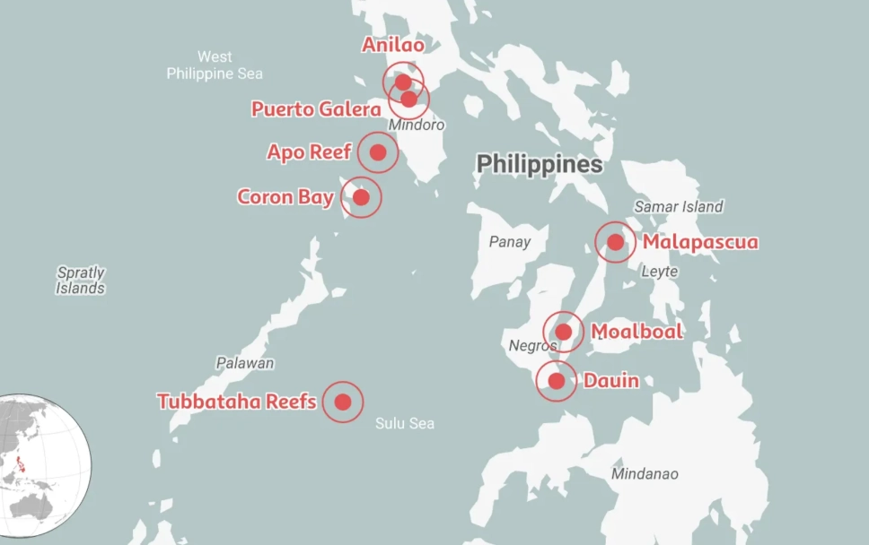 Philippines diving for beginners