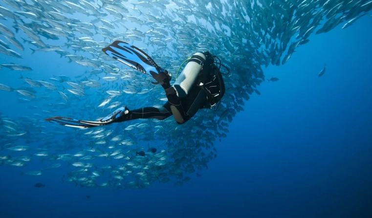 best dive sites Philippines