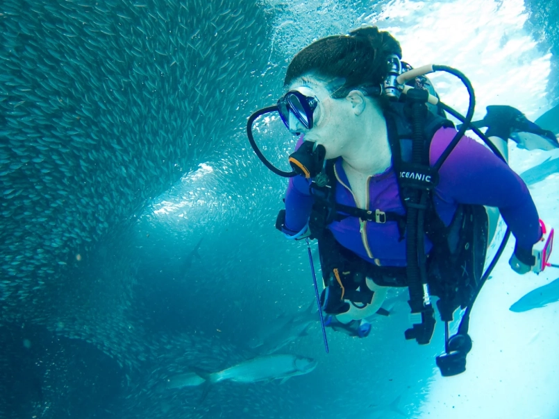 beginner scuba diving locations