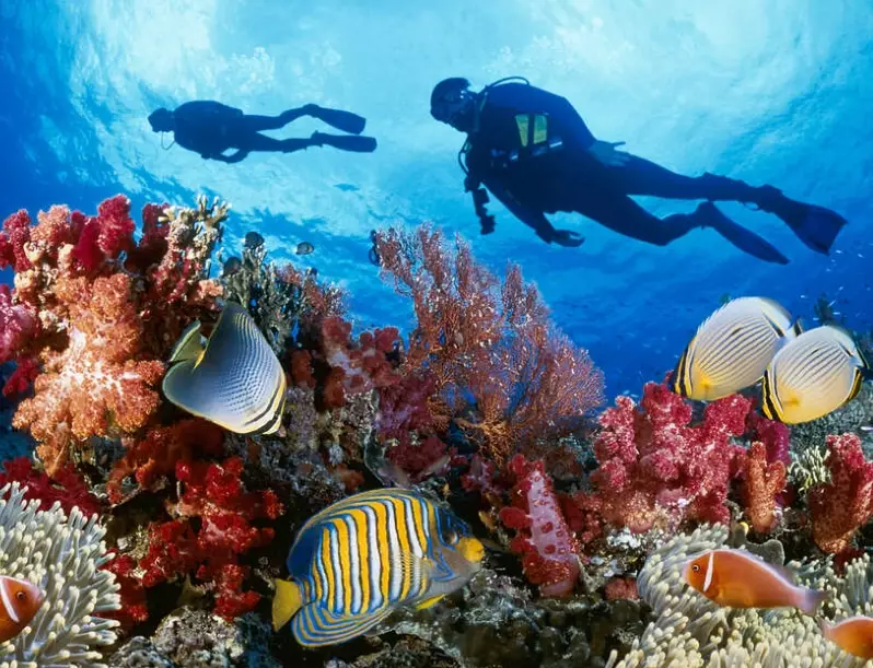 best scuba diving destinations