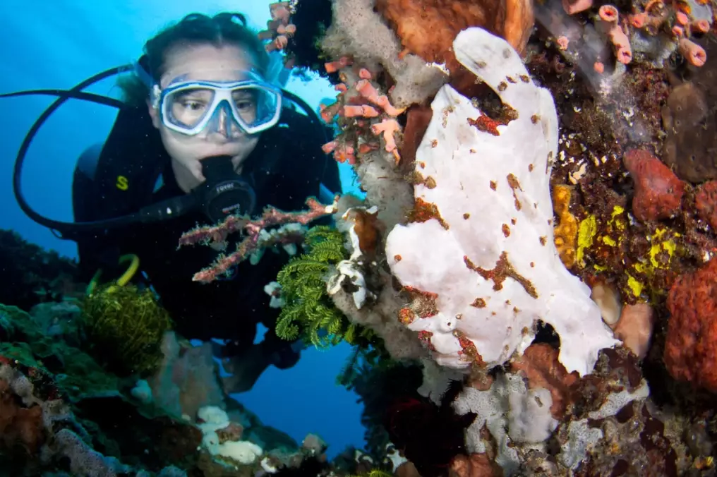 best dive sites Philippines