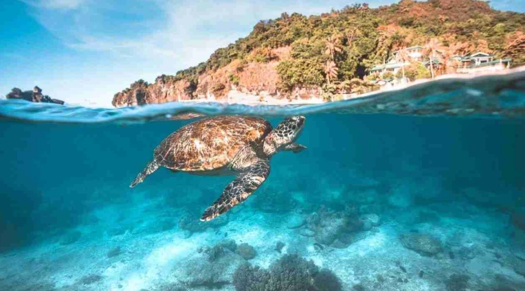 Philippines diving spots