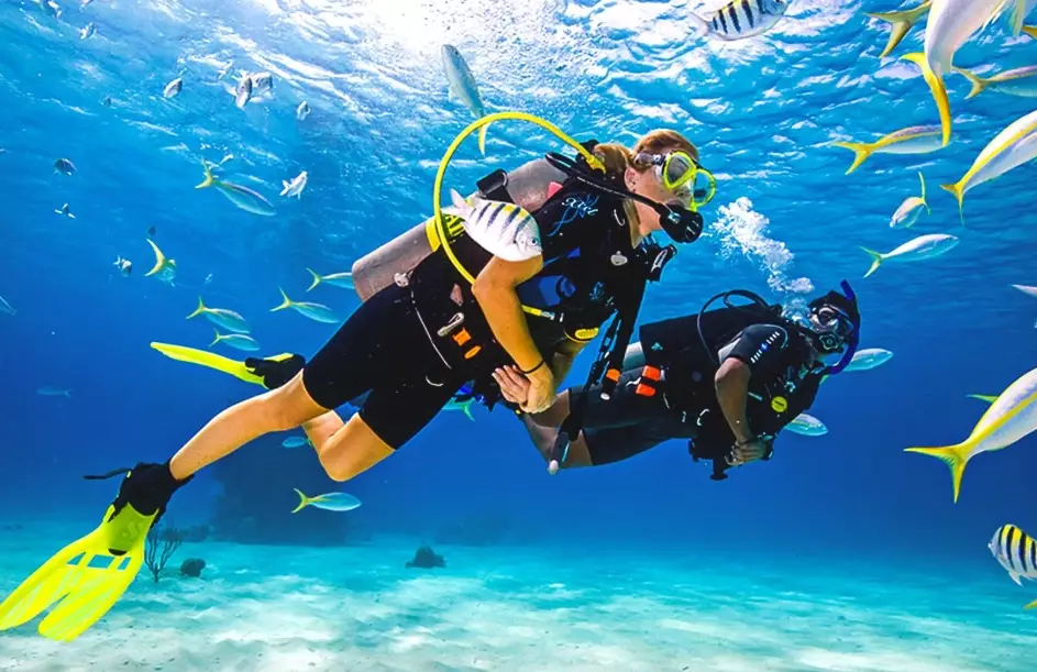 beginner scuba diving locations