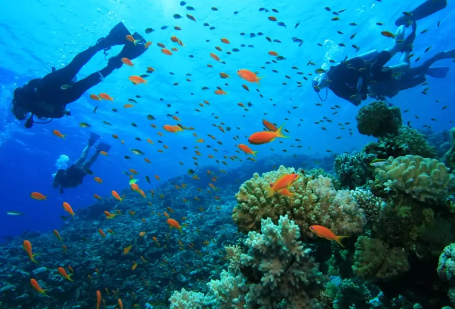 best diving countries
