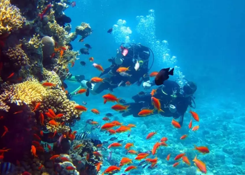 best dive sites Asia best dive sites Asia