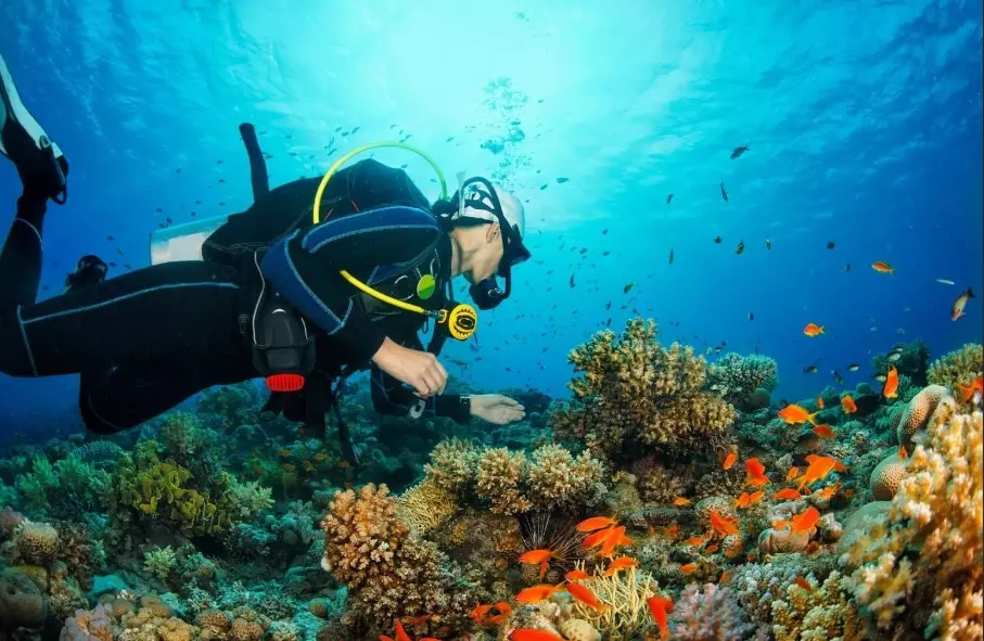 scuba diving Philippines