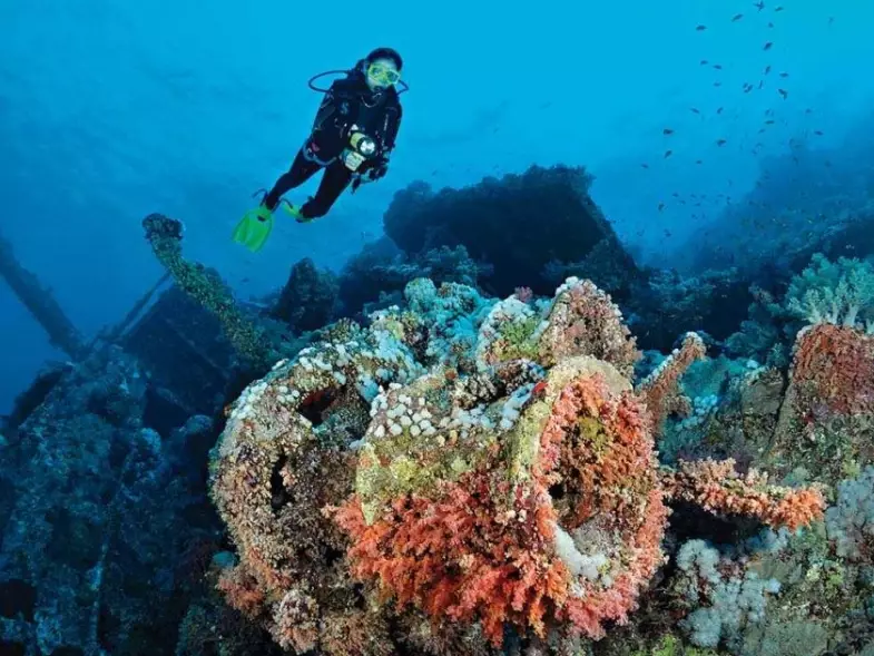 best diving Red Sea