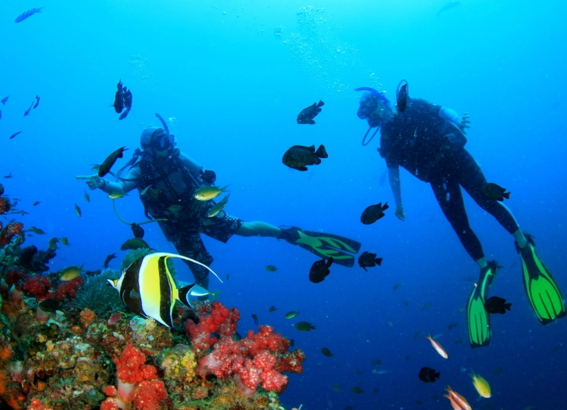 best time to dive Philippines