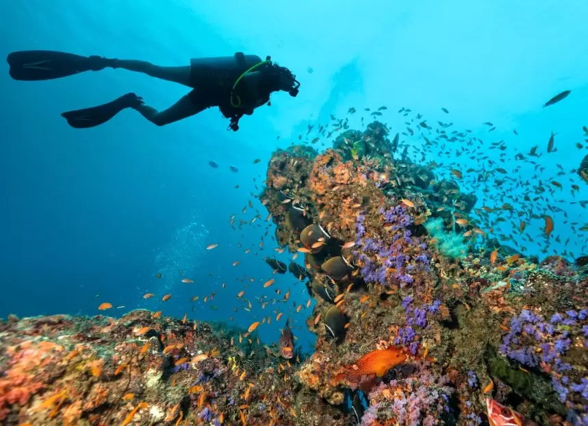 world's best dive spots world's best dive spots