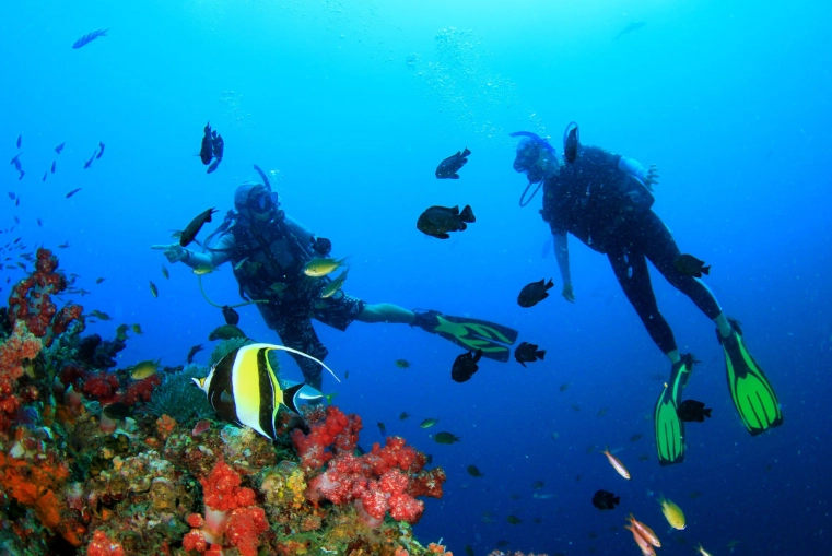 Philippines diving spots