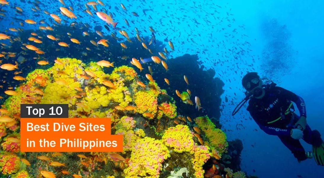Top 10 Diving Spots in the Philippines: An Ultimate Guide