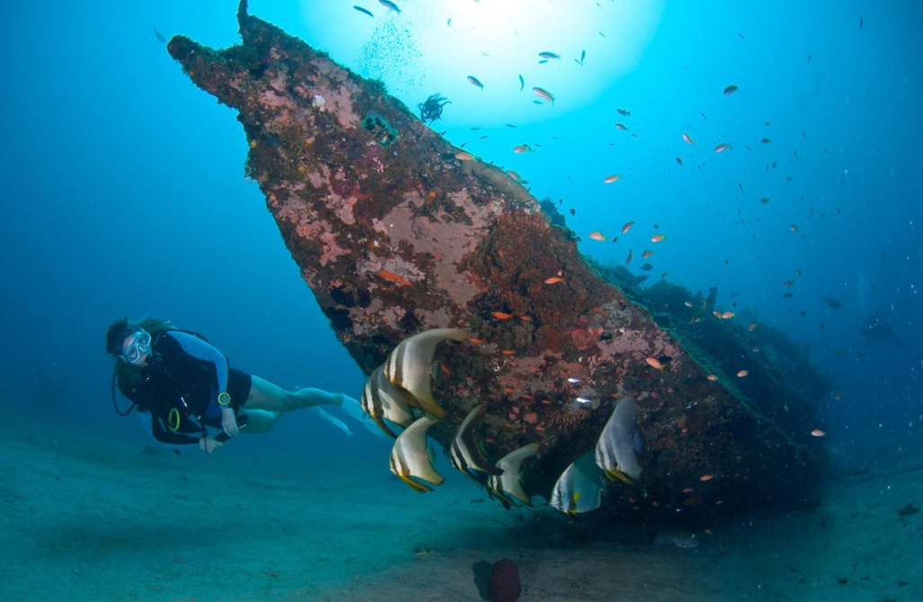 Puerto Galera diving