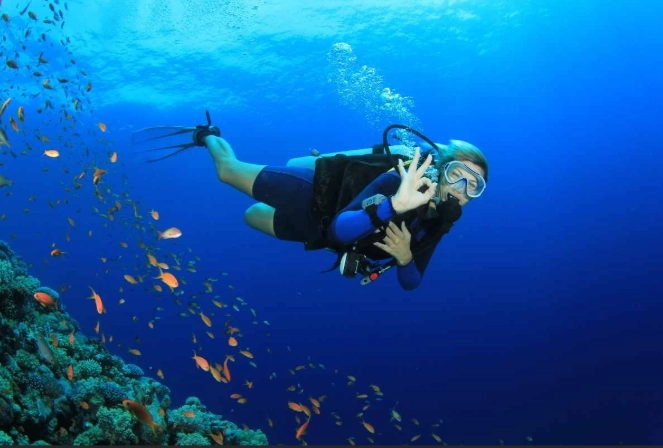 The Scuba Diving Capital of the Philippines: Your Complete Guide to Puerto Galera