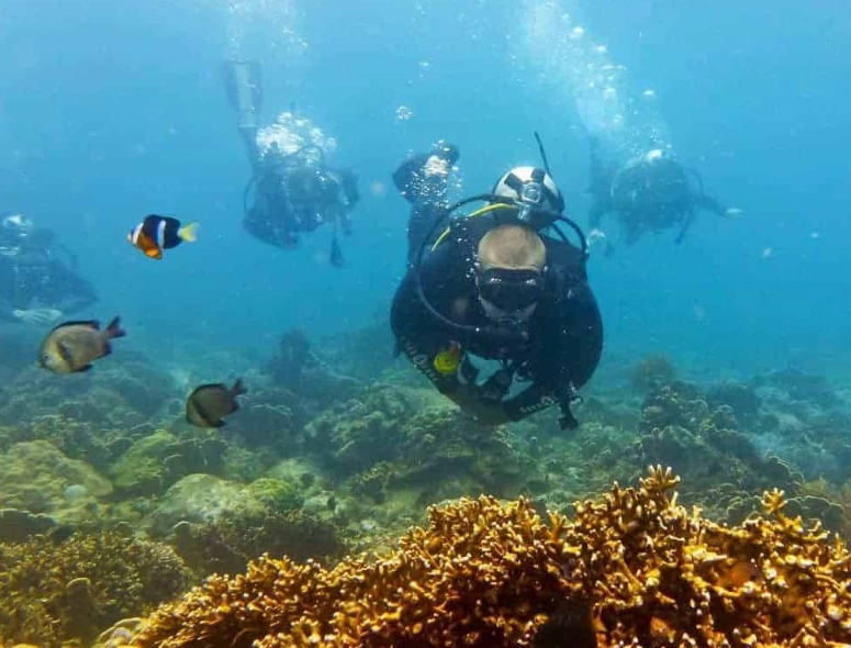 Asia diving destinations Asia diving destinations