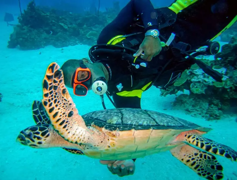Caribbean diving destinations